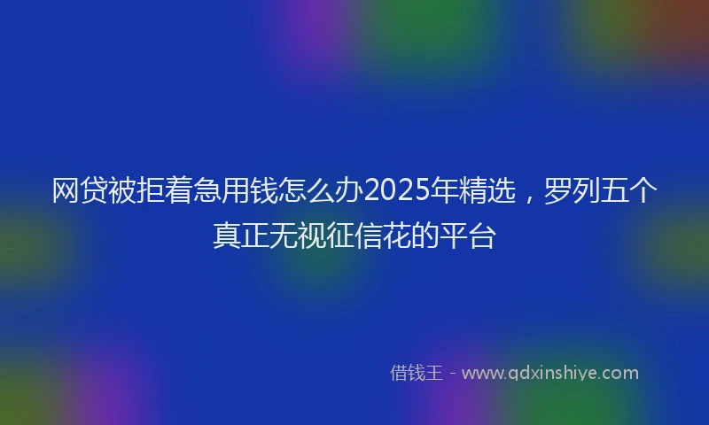 网贷被拒着急用钱怎么办2025年精选，罗列五个真正无视征信花的平台