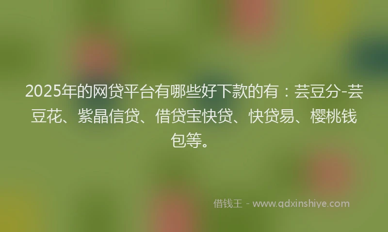 2025年的网贷平台有哪些好下款的有：芸豆分-芸豆花、紫晶信贷、借贷宝快贷、快贷易、樱桃钱包等。