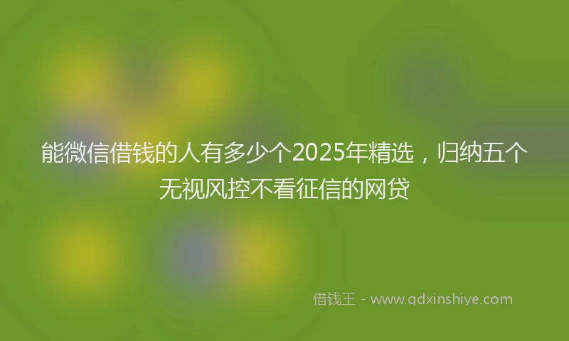 能微信借钱的人有多少个2025年精选，归纳五个无视风控不看征信的网贷