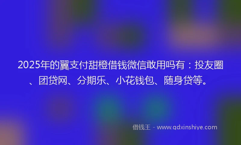 2025年的翼支付甜橙借钱微信敢用吗有：投友圈、团贷网、分期乐、小花钱包、随身贷等。