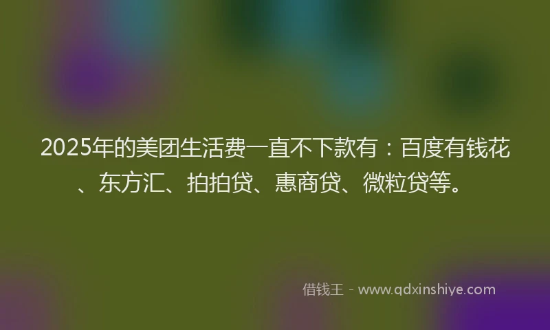 2025年的美团生活费一直不下款有：百度有钱花、东方汇、拍拍贷、惠商贷、微粒贷等。