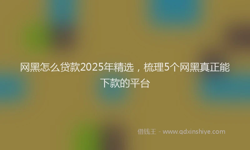 网黑怎么贷款2025年精选，梳理5个网黑真正能下款的平台