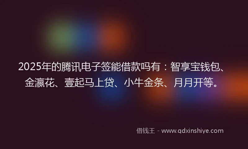 2025年的腾讯电子签能借款吗有：智享宝钱包、金瀛花、壹起马上贷、小牛金条、月月开等。