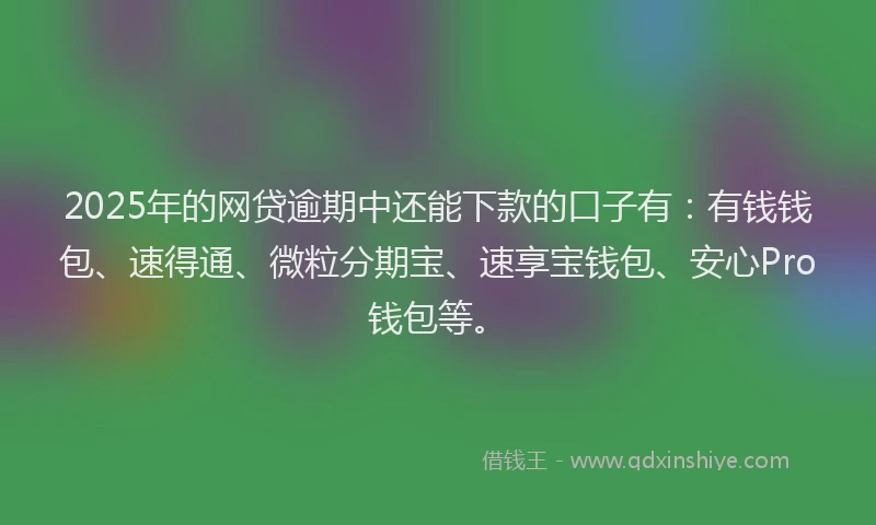 2025年的网贷逾期中还能下款的口子有：有钱钱包、速得通、微粒分期宝、速享宝钱包、安心Pro钱包等。