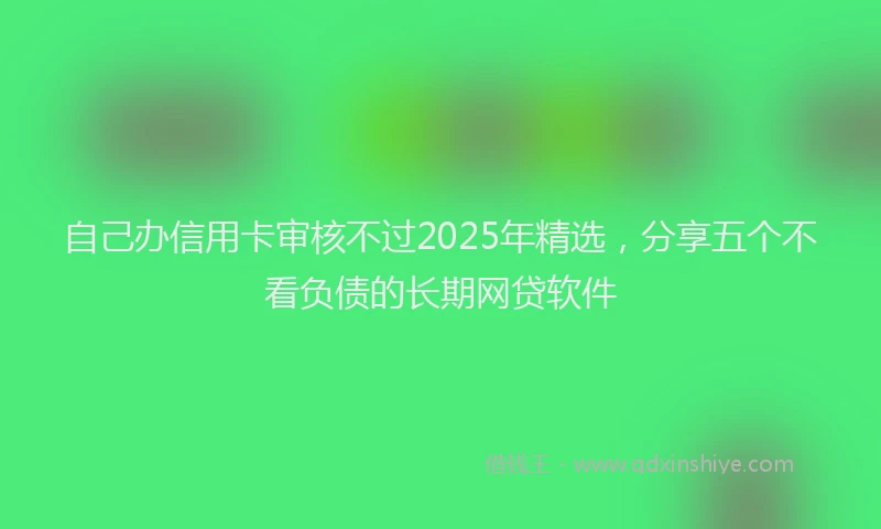 自己办信用卡审核不过2025年精选，分享五个不看负债的长期网贷软件