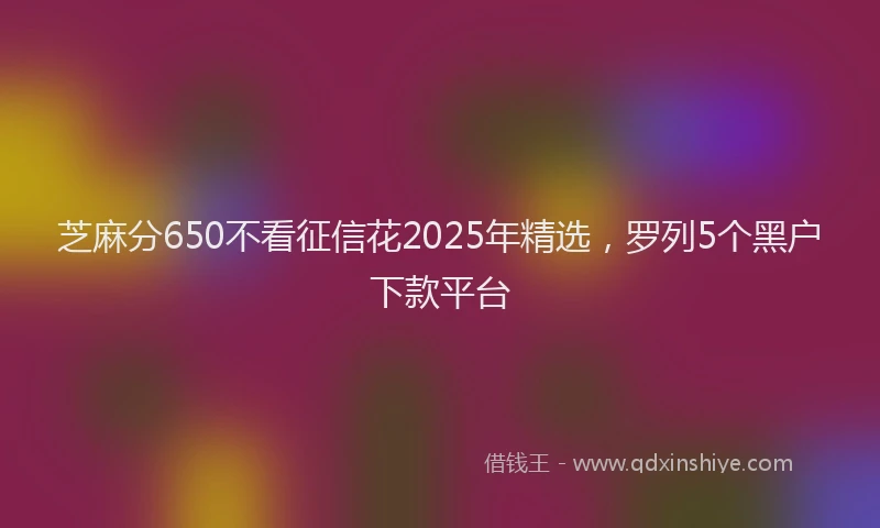 芝麻分650不看征信花2025年精选，罗列5个黑户下款平台