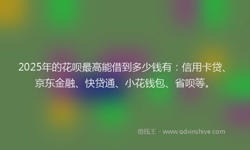 2025年的花呗最高能借到多少钱有：信用卡贷、京东金融、快贷通、小花钱包、省呗等。