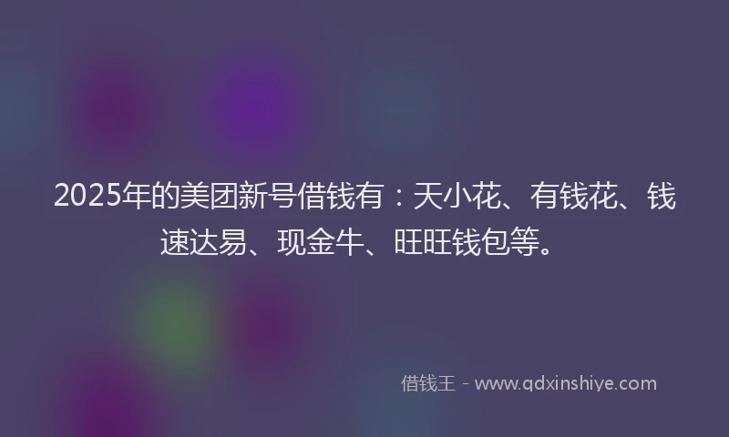 2025年的美团新号借钱有：天小花、有钱花、钱速达易、现金牛、旺旺钱包等。