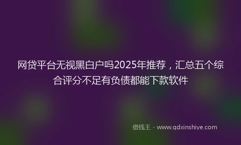 网贷平台无视黑白户吗2025年推荐，汇总五个综合评分不足有负债都能下款软件