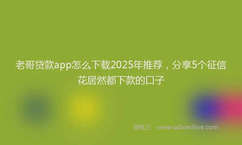 老哥贷款app怎么下载2025年推荐，分享5个征信花居然都下款的口子