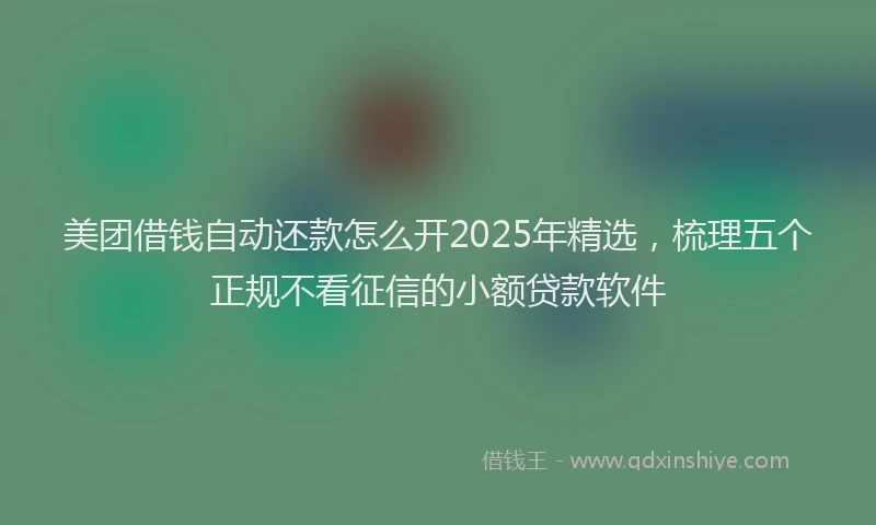 美团借钱自动还款怎么开2025年精选，梳理五个正规不看征信的小额贷款软件