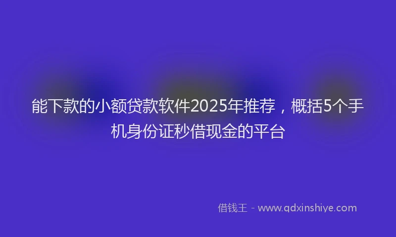 能下款的小额贷款软件2025年推荐，概括5个手机身份证秒借现金的平台