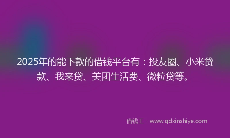 2025年的能下款的借钱平台有：投友圈、小米贷款、我来贷、美团生活费、微粒贷等。
