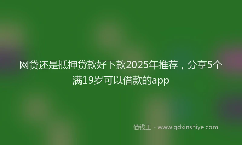 网贷还是抵押贷款好下款2025年推荐，分享5个满19岁可以借款的app