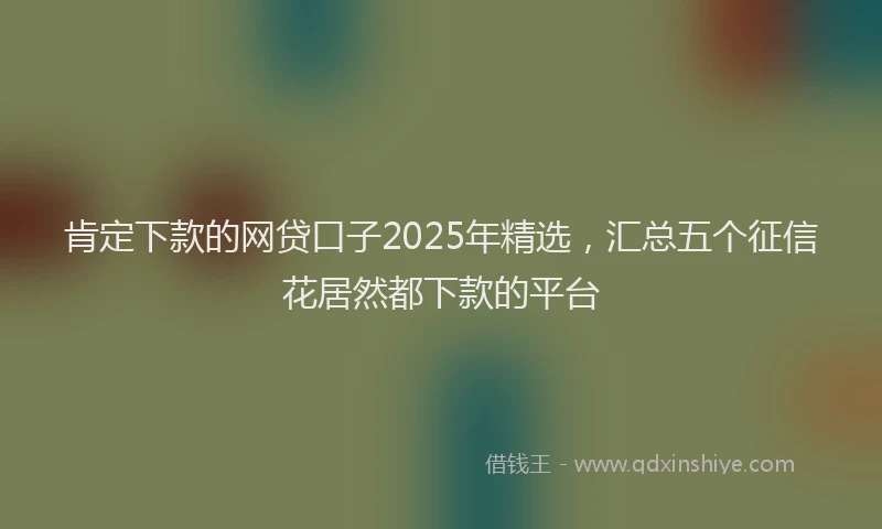 肯定下款的网贷口子2025年精选，汇总五个征信花居然都下款的平台