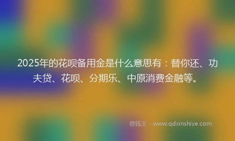 2025年的花呗备用金是什么意思有：替你还、功夫贷、花呗、分期乐、中原消费金融等。