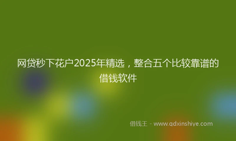 网贷秒下花户2025年精选，整合五个比较靠谱的借钱软件