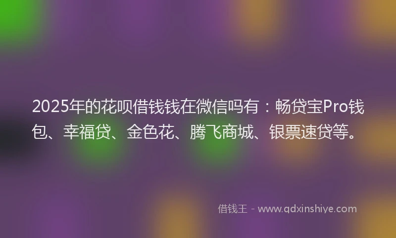 2025年的花呗借钱钱在微信吗有：畅贷宝Pro钱包、幸福贷、金色花、腾飞商城、银票速贷等。