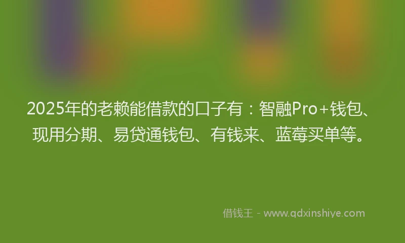 2025年的老赖能借款的口子有：智融Pro+钱包、现用分期、易贷通钱包、有钱来、蓝莓买单等。