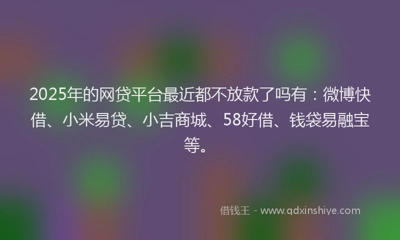 2025年的网贷平台最近都不放款了吗有：微博快借、小米易贷、小吉商城、58好借、钱袋易融宝等。