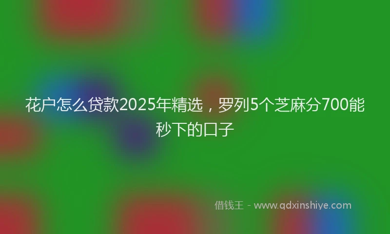 花户怎么贷款2025年精选，罗列5个芝麻分700能秒下的口子