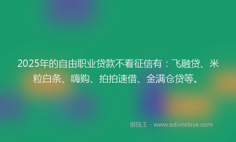 2025年的自由职业贷款不看征信有：飞融贷、米粒白条、嗨购、拍拍速借、金满仓贷等。