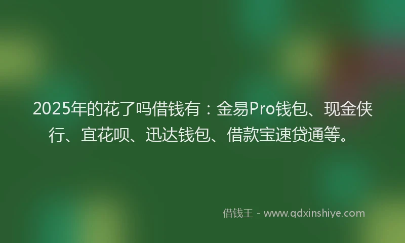 2025年的花了吗借钱有：金易Pro钱包、现金侠行、宜花呗、迅达钱包、借款宝速贷通等。