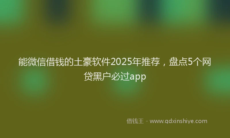 能微信借钱的土豪软件2025年推荐，盘点5个网贷黑户必过app