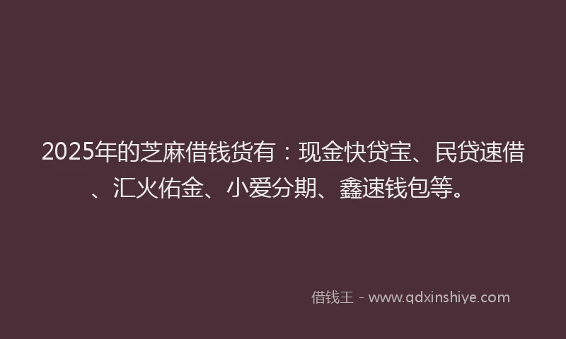 2025年的芝麻借钱货有：现金快贷宝、民贷速借、汇火佑金、小爱分期、鑫速钱包等。