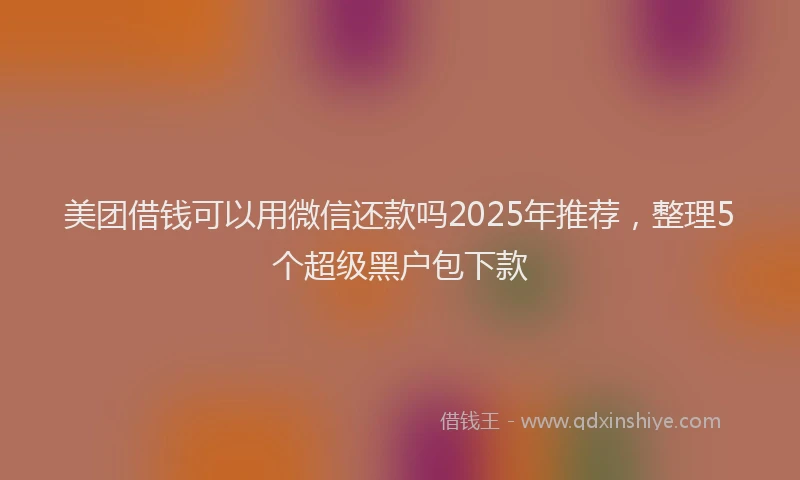 美团借钱可以用微信还款吗2025年推荐，整理5个超级黑户包下款