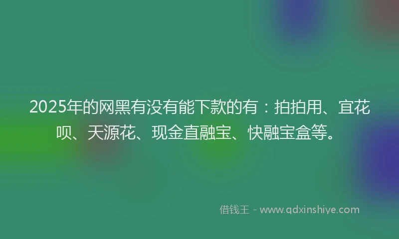 2025年的网黑有没有能下款的有：拍拍用、宜花呗、天源花、现金直融宝、快融宝盒等。