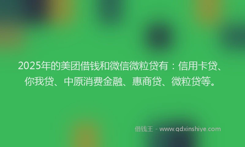 2025年的美团借钱和微信微粒贷有：信用卡贷、你我贷、中原消费金融、惠商贷、微粒贷等。
