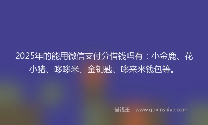 2025年的能用微信支付分借钱吗有：小金鹿、花小猪、哆哆米、金钥匙、哆来米钱包等。