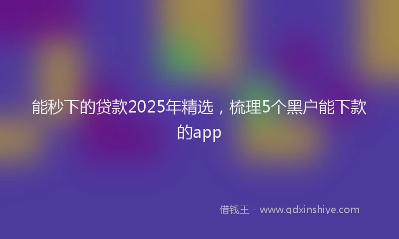 能秒下的贷款2025年精选，梳理5个黑户能下款的app