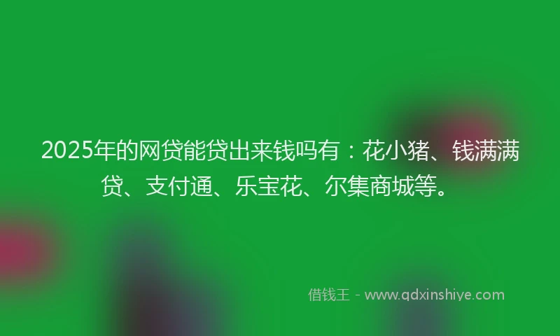 2025年的网贷能贷出来钱吗有：花小猪、钱满满贷、支付通、乐宝花、尔集商城等。