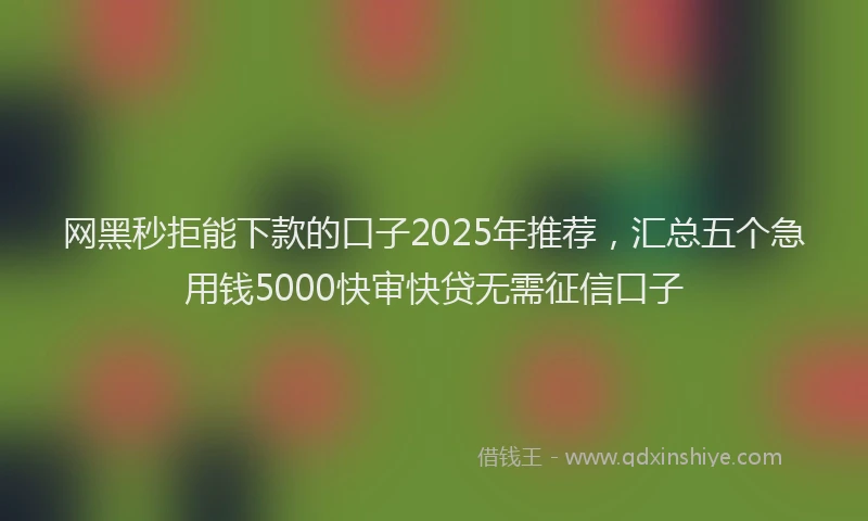 网黑秒拒能下款的口子2025年推荐，汇总五个急用钱5000快审快贷无需征信口子