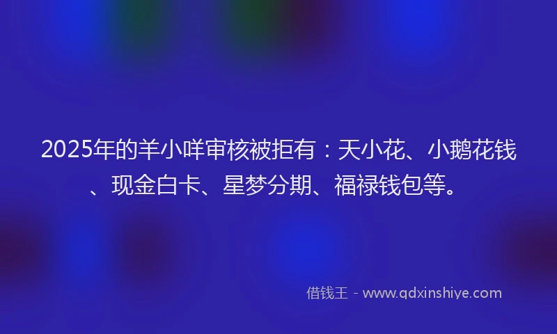 2025年的羊小咩审核被拒有：天小花、小鹅花钱、现金白卡、星梦分期、福禄钱包等。