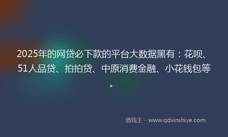2025年的网贷必下款的平台大数据黑有：花呗、51人品贷、拍拍贷、中原消费金融、小花钱包等。