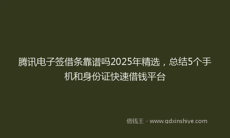 腾讯电子签借条靠谱吗2025年精选，总结5个手机和身份证快速借钱平台
