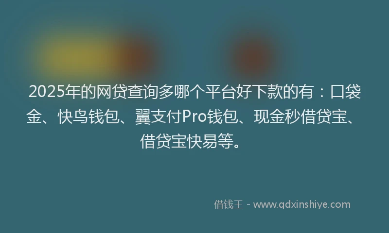 2025年的网贷查询多哪个平台好下款的有：口袋金、快鸟钱包、翼支付Pro钱包、现金秒借贷宝、借贷宝快易等。