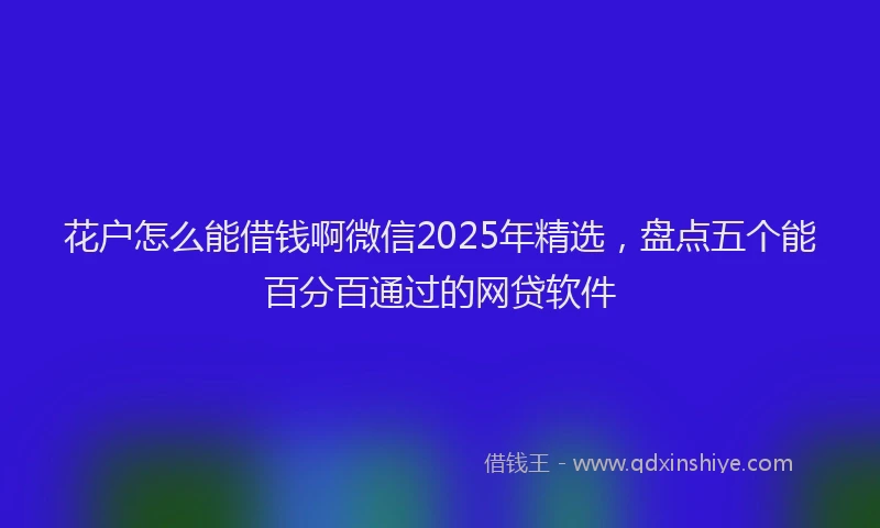 花户怎么能借钱啊微信2025年精选，盘点五个能百分百通过的网贷软件