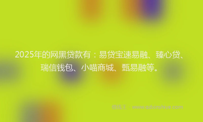 2025年的网黑贷款有：易贷宝速易融、臻心贷、瑞信钱包、小喵商城、甄易融等。