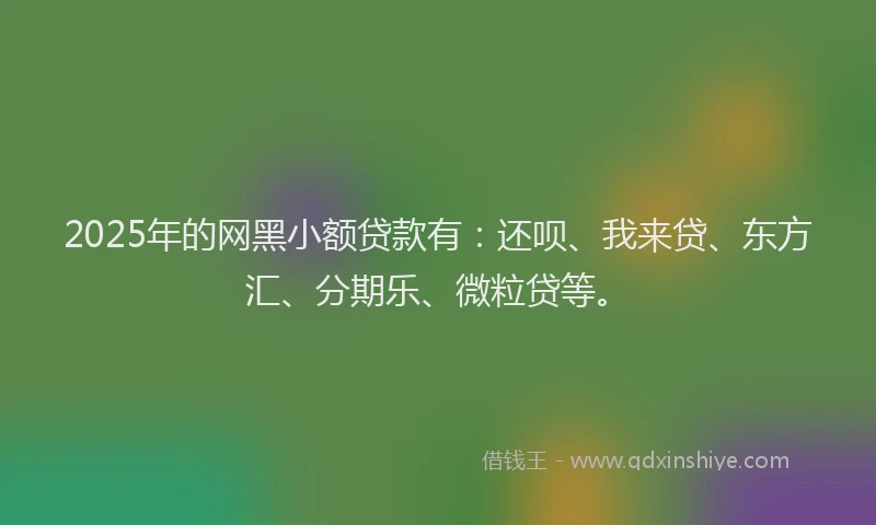 2025年的网黑小额贷款有：还呗、我来贷、东方汇、分期乐、微粒贷等。