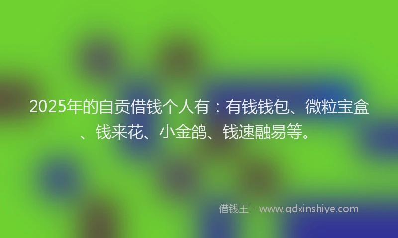 2025年的自贡借钱个人有：有钱钱包、微粒宝盒、钱来花、小金鸽、钱速融易等。