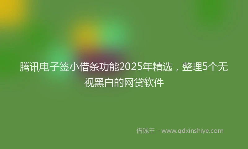 腾讯电子签小借条功能2025年精选，整理5个无视黑白的网贷软件