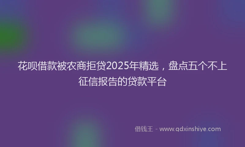 花呗借款被农商拒贷2025年精选，盘点五个不上征信报告的贷款平台
