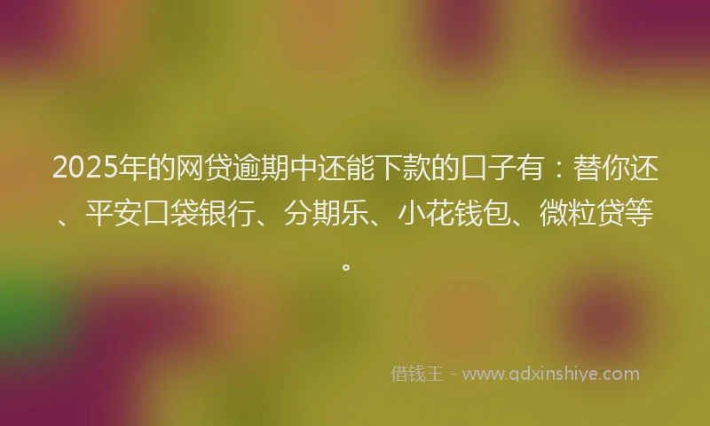 2025年的网贷逾期中还能下款的口子有：替你还、平安口袋银行、分期乐、小花钱包、微粒贷等。