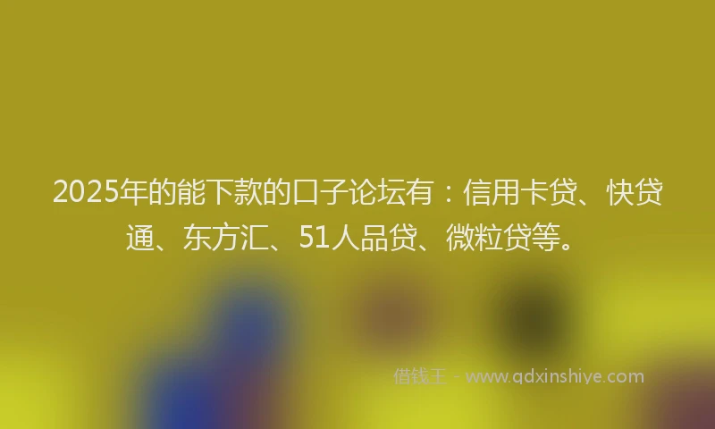 2025年的能下款的口子论坛有：信用卡贷、快贷通、东方汇、51人品贷、微粒贷等。