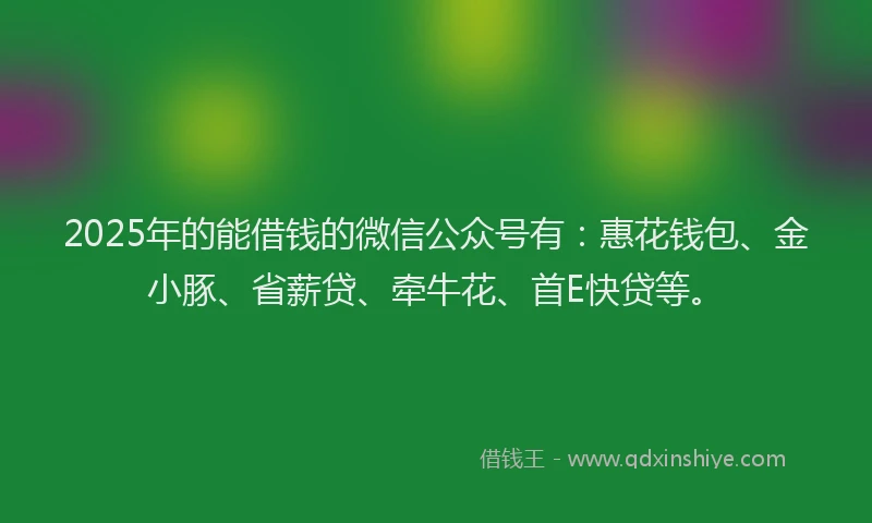 2025年的能借钱的微信公众号有：惠花钱包、金小豚、省薪贷、牵牛花、首E快贷等。