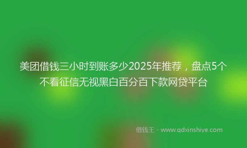 美团借钱三小时到账多少2025年推荐，盘点5个不看征信无视黑白百分百下款网贷平台